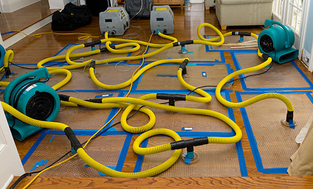 Professional Water Damage Repair technician working in Brumley, MO